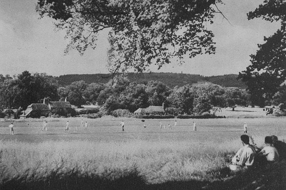 Cricket On Ockley Green