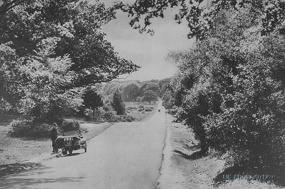 The Bournemouth Road Through The New Forest Near Lyndhurst 1920s