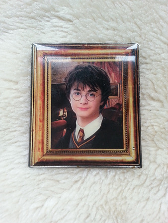 Metal Official Warner Brothers Harry Potter Badge