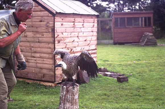 Bird Sanctuary Carmarthenshire 1972