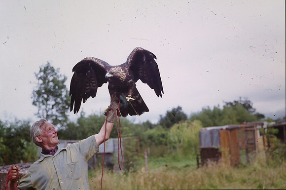 Bird Sanctuary Carmarthenshire 1972