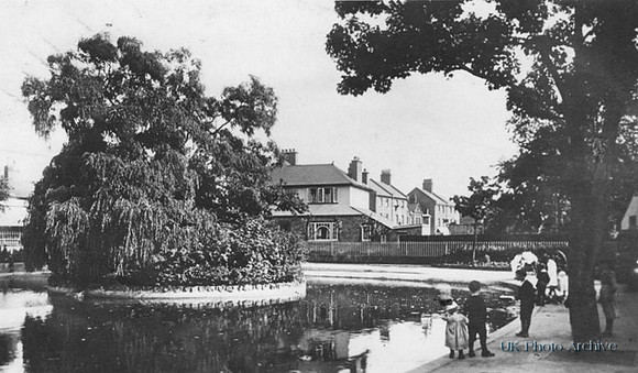 The Green Pond Sutton