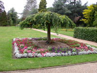 Nonsuch Park 2010