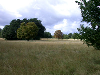 Nonsuch Park 2010