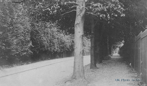 Devonshire Avenue Sutton