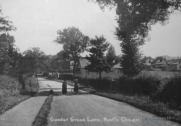 Gander Green Lane North Cheam