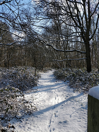 Ottershaw 28th Feb 2018