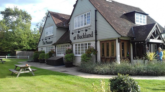 The Pheasant At Buckland