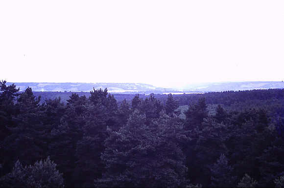View From Leith Hill 1972