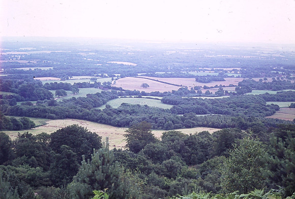 View From Leith Hill Tower 1972