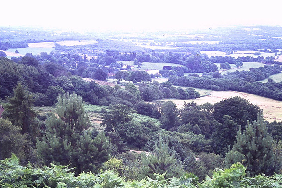 View From Leith Hill Tower 1972