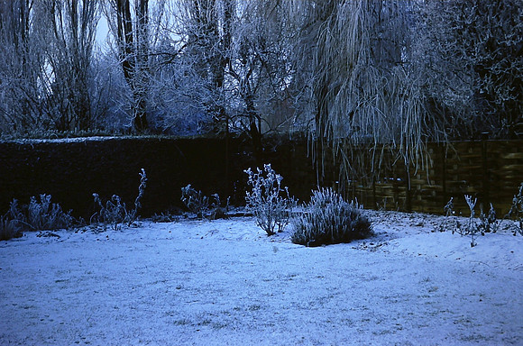 8 Whitehall Road Leicester Garden  1963