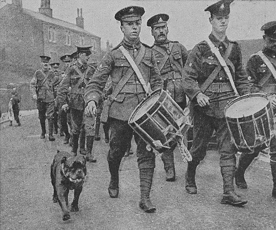 The Regimental Mascot Of The 2/6th West Riding Regiment Completing A 300 Mile Recruitment March