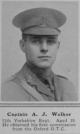 Walker A J Captain 11th Yorkshire Regt The Sphere 11th Sep 1915