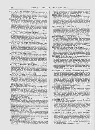 NRV13 Page 36