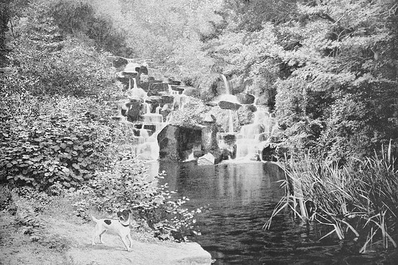 The Cascade Virginia Water 1890s