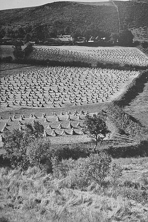 Harvest Time In The Dee Valley Near Bala Merioneth Wales 1930s
