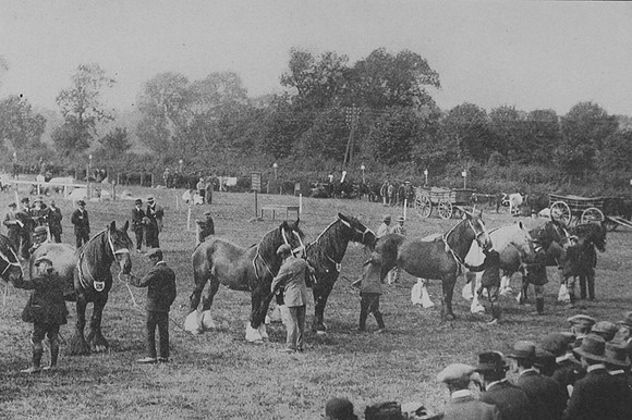 Oakham Victory Horse Show August 1919