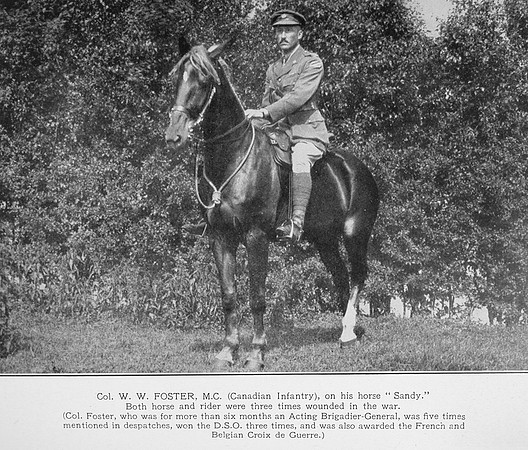 Foster W W Col DSO 52nd Canadian Infantry Photo No 2
