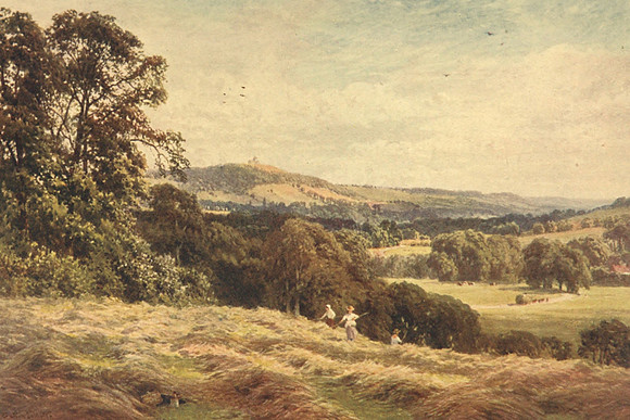A Hayfield Wonersh