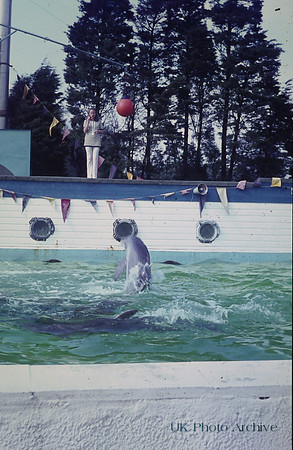 Dolphinarium Windsor Safari Park 1970 4