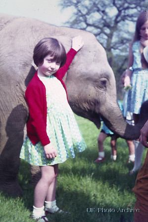 At Windsor Safari Park 1970