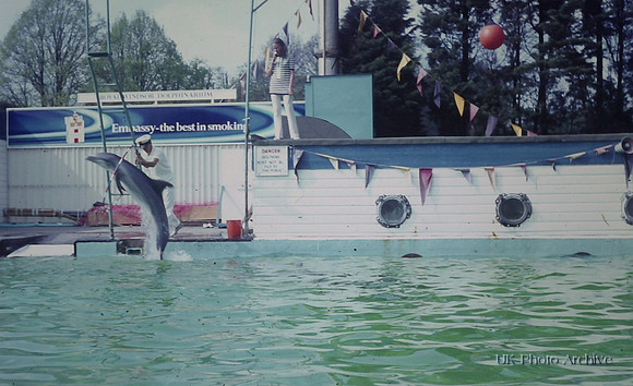 Dolphinarium Windsor Safari Park 1970 2