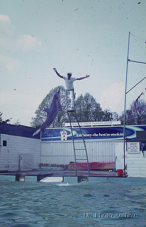 Dolphinarium Windsor Safari Park 1970 1