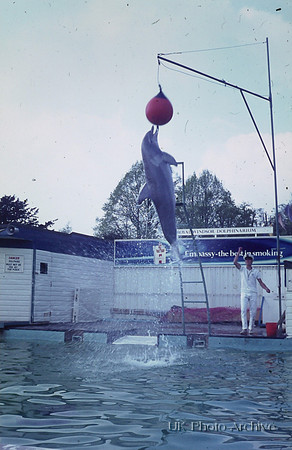 Dolphinarium Windsor Safari Park 1970 6