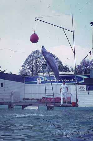 Dolphinarium Windsor Safari Park 1970 5