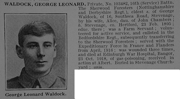 Waldock G L Pte 103482 16th Notts & Derby Regiment Obit De Ruvignys Roll Of Honour Vol 5