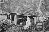 Near Haslemere 1908