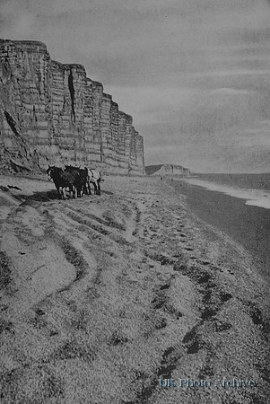 Cliffs At Burton Bradstock Dorset 1930s
