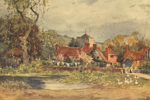 Singleton Sussex 1904