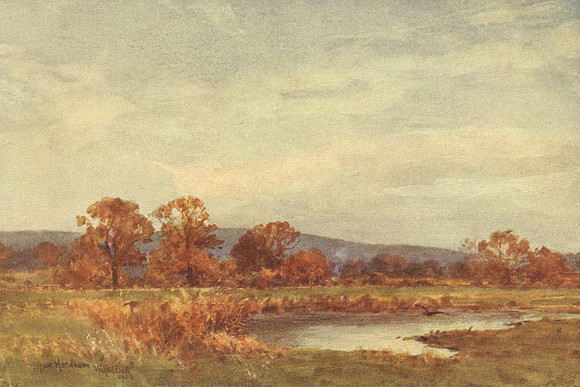 Near Hardham Sussex 1904