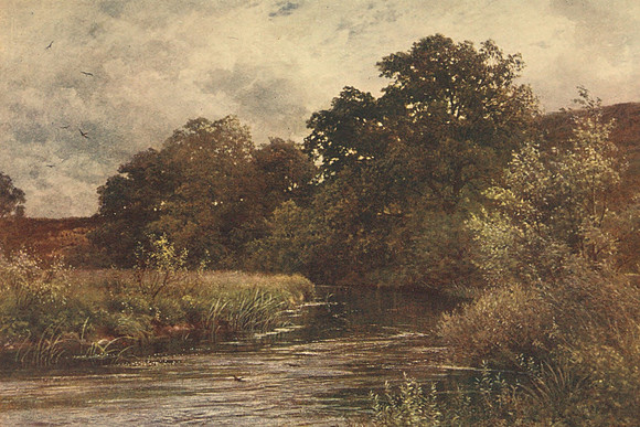 The Wey At Hamkley Common Near Tilford