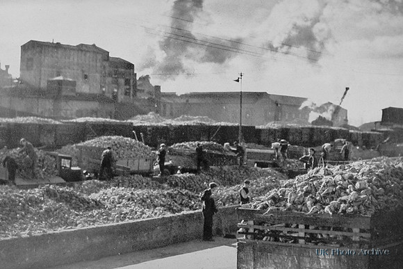 Unloading Sugar Beet At Felstead Essex 1940s
