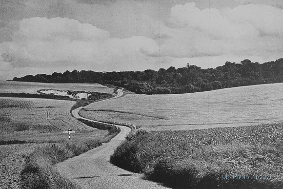 A Winding Lane Near Elmdon North West Essex 1940s