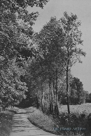 Near Roding Dee Essex 1930s