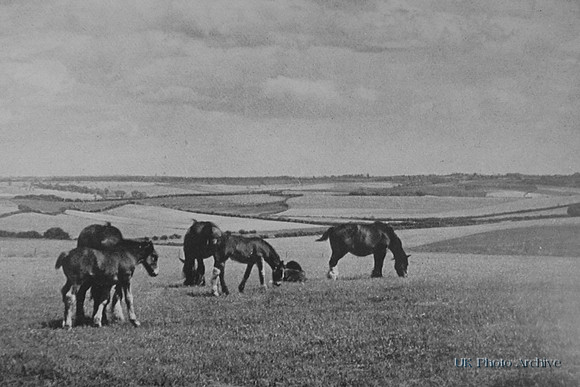 An Upland Stretch On The Chalk Downland Near Heydon North West Essex 1940s