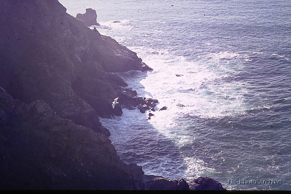 Godrevy 1974