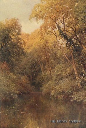 The Silent Pool Albury Surrey 1906