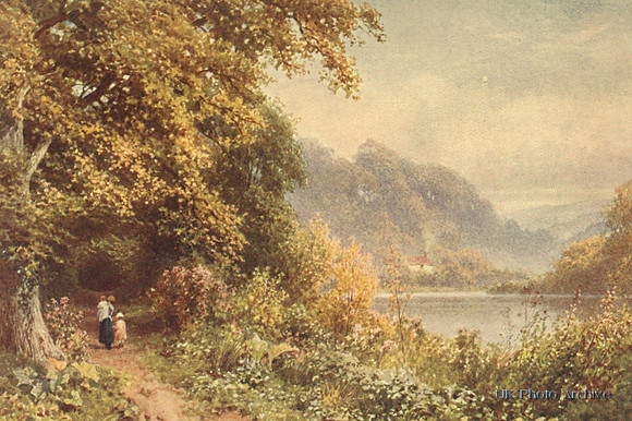 Near Albury Surrey 1906