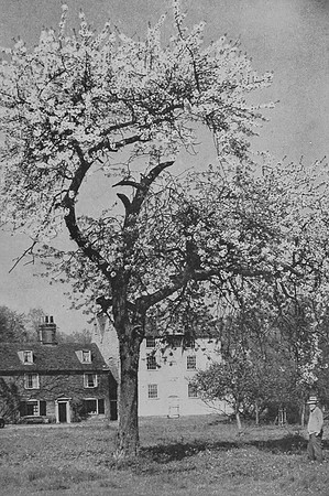 Spring At Kersey Mill Suffolk 1930s
