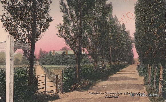 Footpath To Skinners Lane And Oakfield Road Ashtead