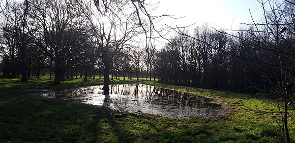 Ashtead Common After Heavy Rain