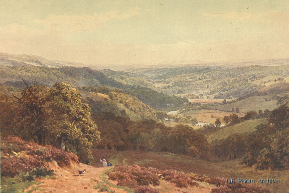 Vale Of Albury From St Marthas Hill Surrey 1906