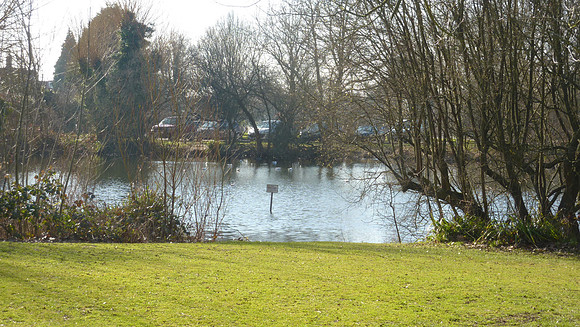 Ashtead Pond Feb 2019