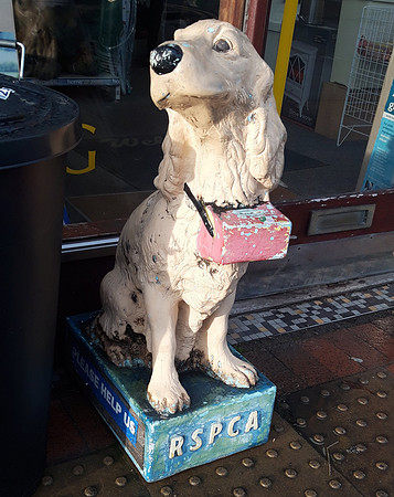 Vintage RSPCA Collection Box Outside Home Hardware Ashtead