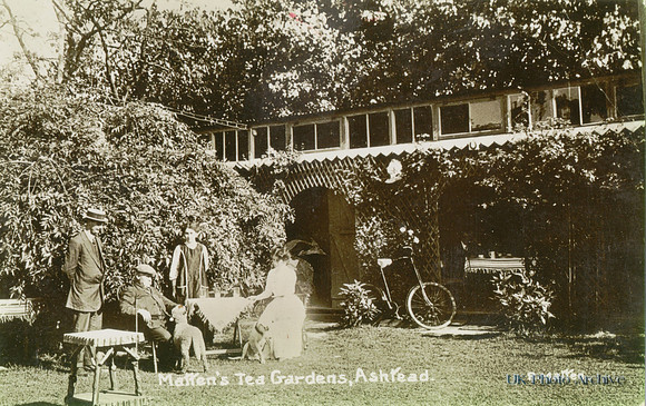 Mattens Tea Gardens Ashtead